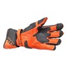 Imagen de GP PLUS R V2 GLOVES