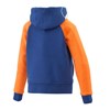 Imagen de KIDS FINISH FLAG HOODIE