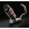 Imagen de Kit Akrapovic "Racing Line"